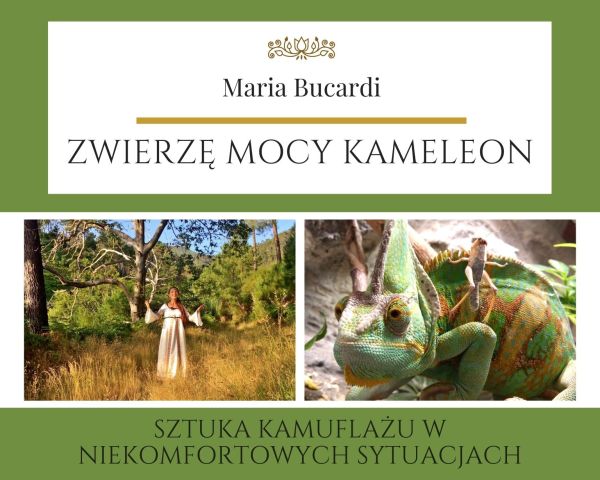 Maria Bucardi Zwierzę Mocy znaczenie Kameleon