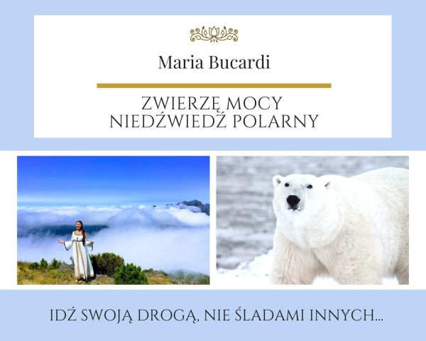Maria Bucardi Zwierzę Mocy znaczenie Niedźwiedź polarny