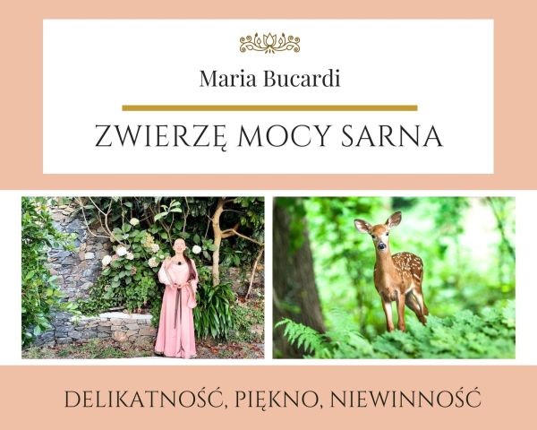 Maria Bucardi Zwierzę Mocy znaczenie Sarna