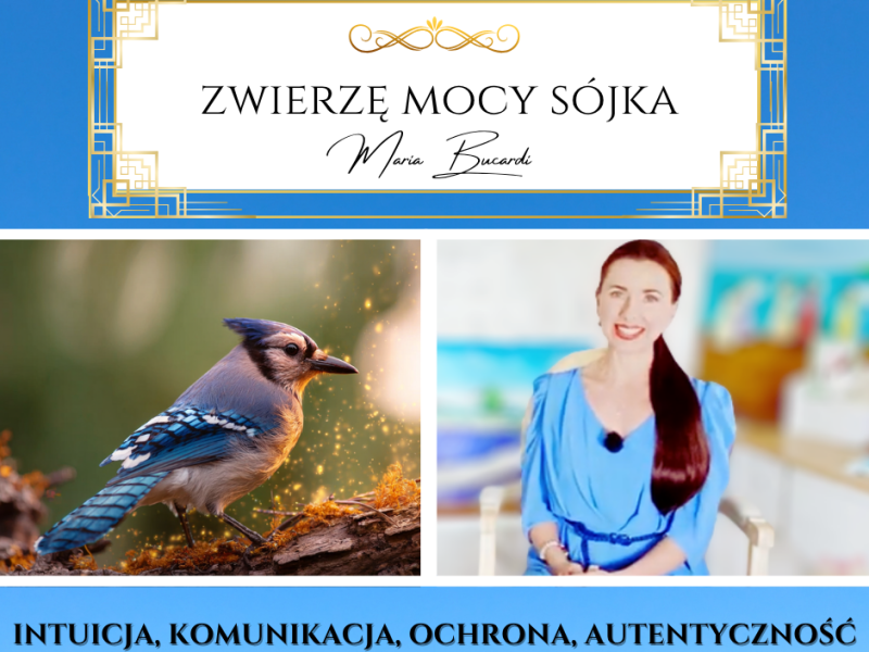 Zwierzę Mocy Sójka – „Twoje słowa są zaklęciami – nie rzucaj ich&nbsp;przypadkowo.”