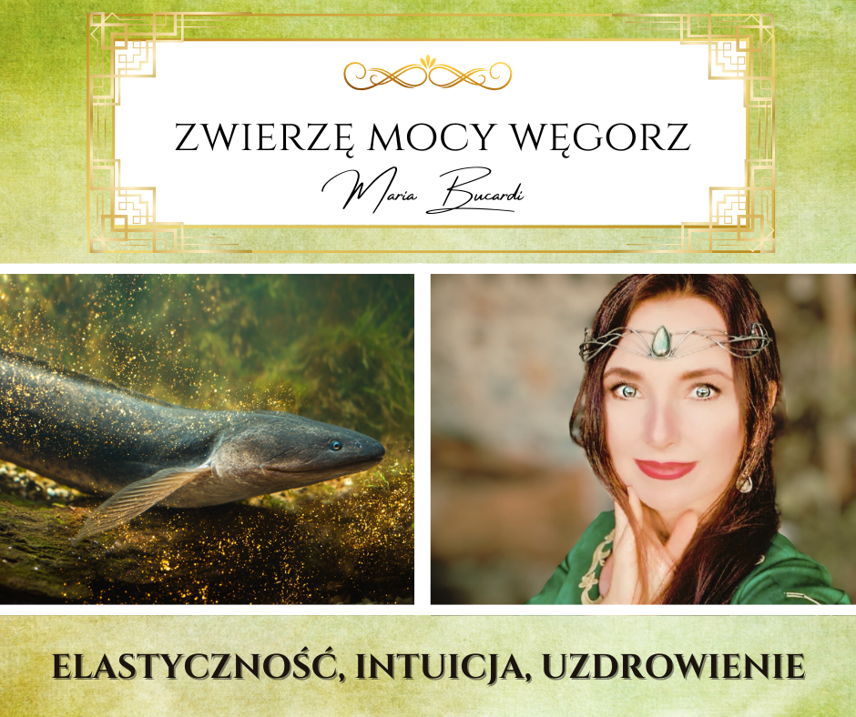 zwierz-mocy-w-gorz-nauczy-ci-unika-z-ych-energii-cios-w-zazdro-ci-i