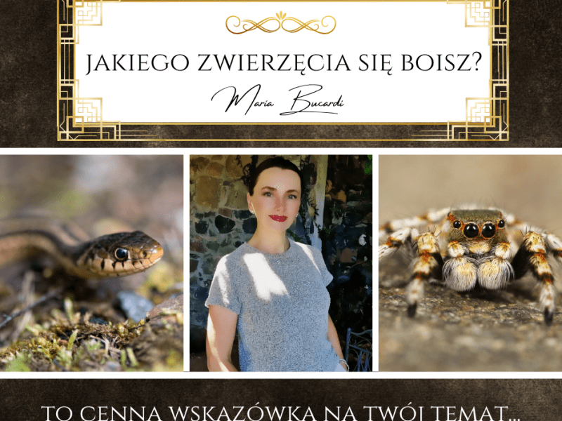 Dlaczego boję się pająka, węża czy ćmy? Co oznacza lęk przed konkretnym&nbsp;zwierzęciem?