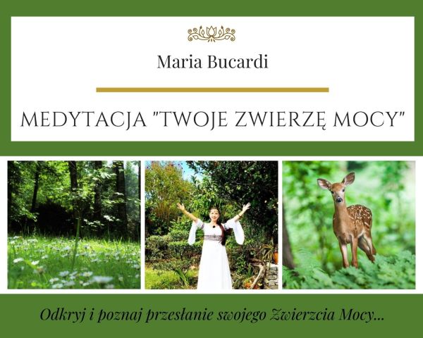 Zwierzę Mocy znaczenie Maria Bucardi - Medytacja Moje Zwierzę Mocy
