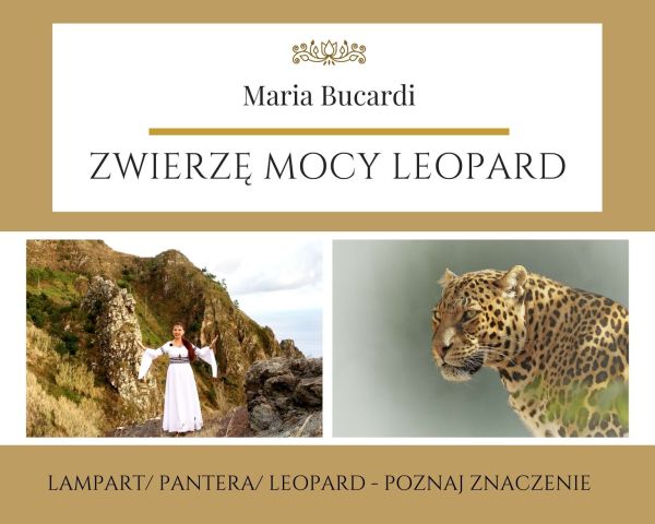 Zwierzę Mocy znaczenie wg Maria Bucardi Leopard : lampart: pantera