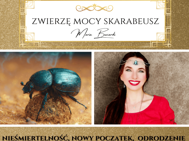 Zwierzę Mocy Skarabeusz – Wszystko ma swój koniec i początek, każdy mrok się kiedyś skończy i słońce zaświeci jasno na&nbsp;niebie.