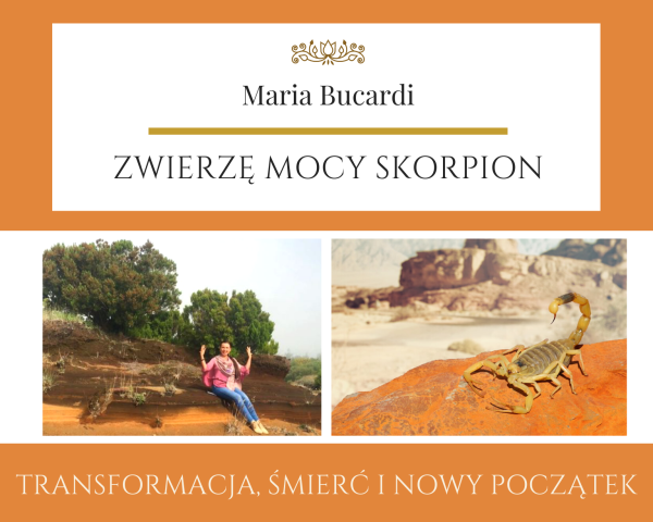 Zwierzę Mocy Skorpion, transformacja, znaczenie wg Maria Bucardi