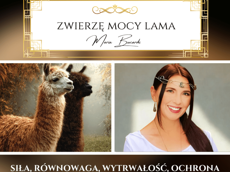 Zwierzę Mocy Lama uczy wytrwałości i uśmiechu. Przeczytaj koniecznie, jeśli masz wysoką górę do przejścia&nbsp;:-)