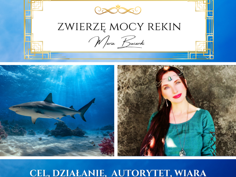 Zwierzę Mocy Rekin to autorytet, siła i moc! Poznaj fakty i mity na jego&nbsp;temat…