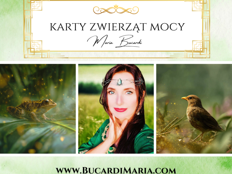 Orakel Zwierząt Mocy Marii Bucardi – karty online i duchowe&nbsp;przesłania