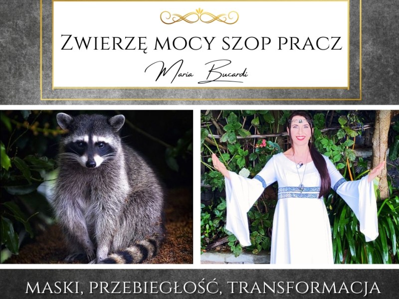 Zwierzę Mocy Szop Pracz – Chcesz, aby ludzie zobaczyli, kim naprawdę jesteś? 