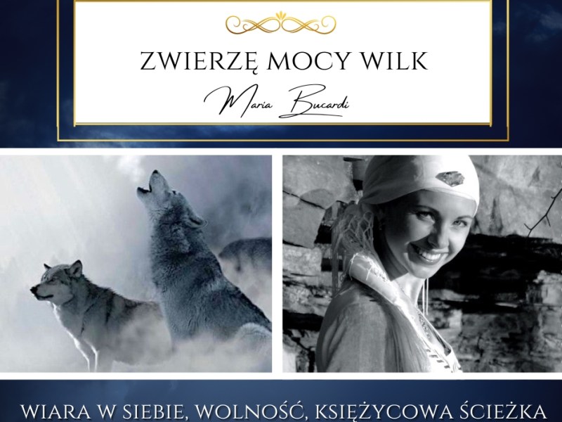 Zwierzę Mocy Wilk – Nie pozwól, aby ktoś inny kształtował Twoją&nbsp;rzeczywistość.
