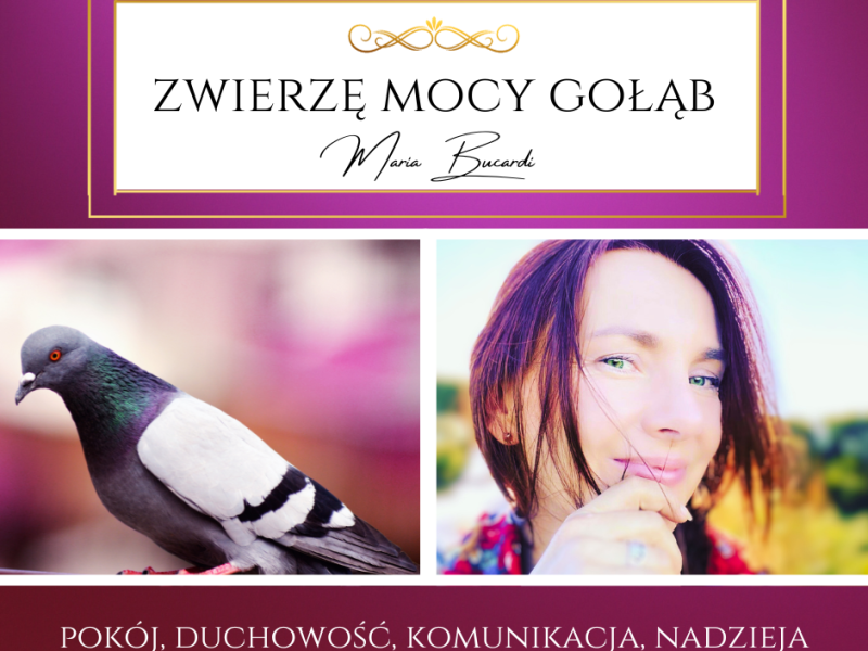 Zwierzę Mocy Gołąb – „Twoje dobre uczynki są jak echo, wracają do Ciebie z podwójną&nbsp;siłą.”