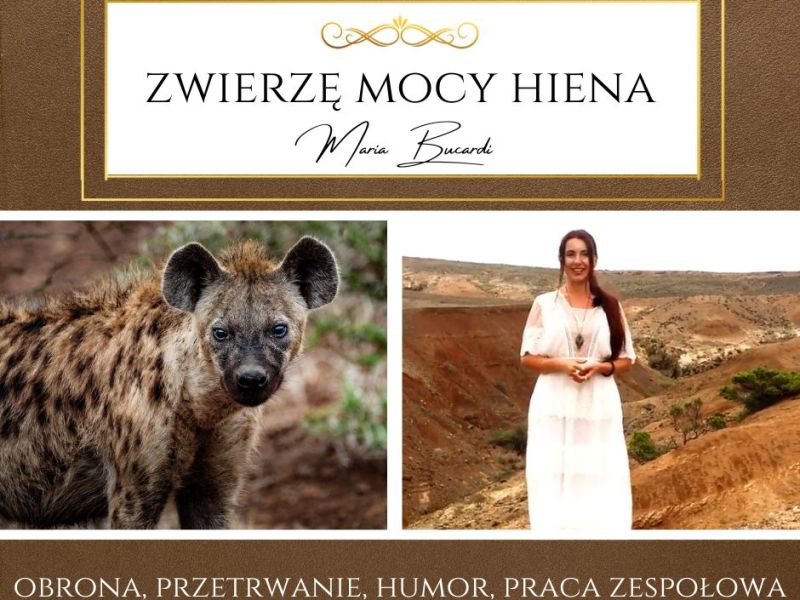 Zwierzę Mocy Hiena – „Przetrwanie to sztuka. Społeczność i powiązania są kluczowe. Bądź sprytny, bo życie wymaga szybkiego myślenia.”