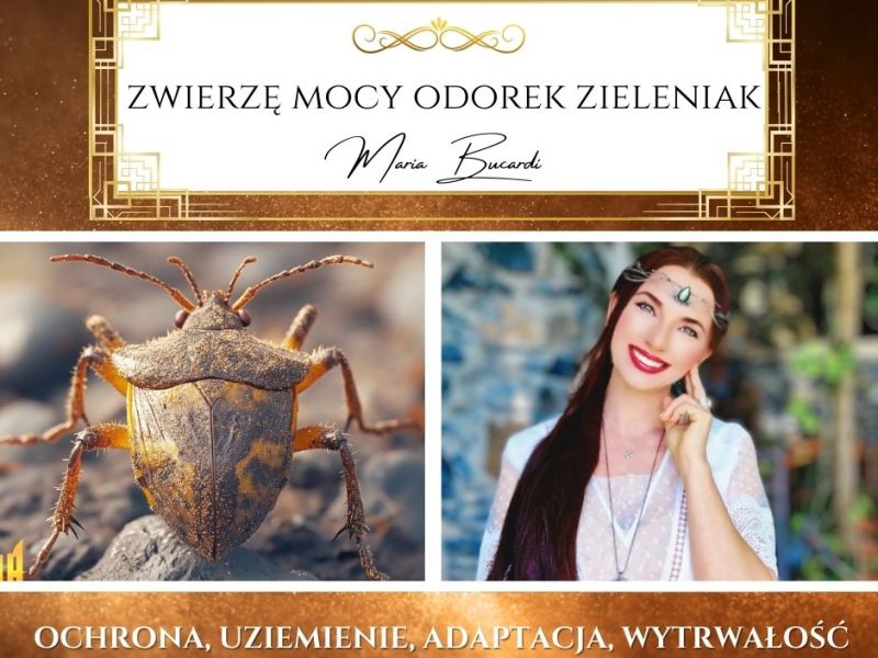Zwierzę Mocy Odorek Zieleniak — „Strach to tylko iluzja – pozwól, aby Twoje wewnętrzne światło prowadziło Cię przez najciemniejsze&nbsp;chwile”