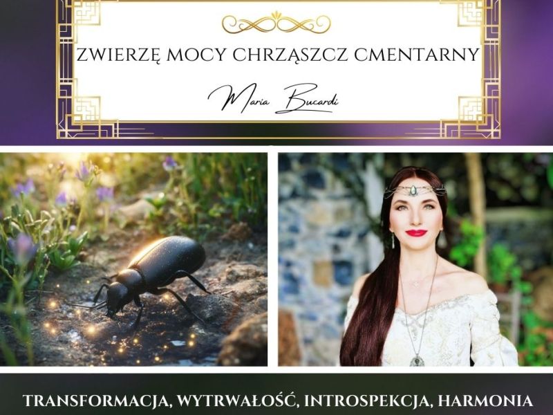 Zwierzę Mocy Chrząszcz Cmentarny (Pokątnik złowieszczek) – „Nie każda śmierć oznacza stratę. Czasem to jedyny sposób na narodziny czegoś&nbsp;nowego.”