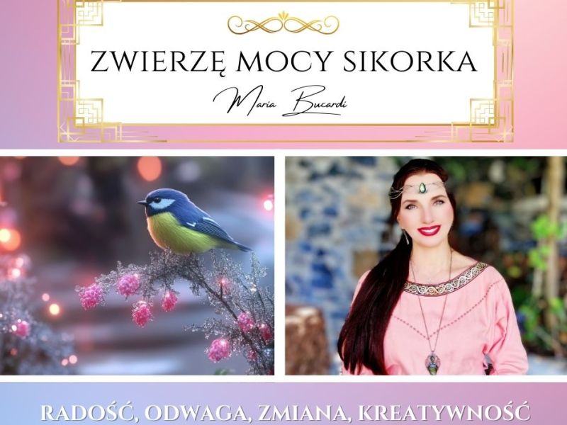 Zwierzę Mocy Sikorka – „Nie bój się zmiany – to przez nią uczysz się&nbsp;latać.”