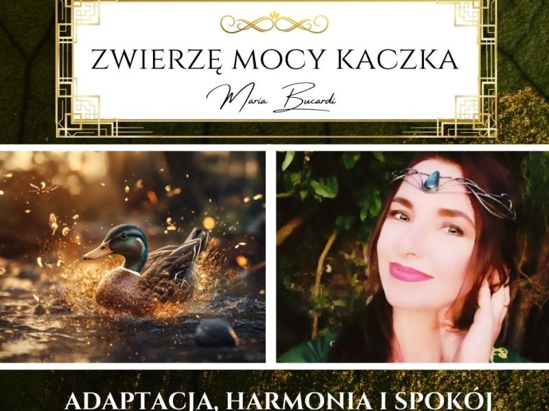 Zwierzę Mocy Kaczka – „Niech wszystko spływa po Tobie jak woda po moich piórach – pozwól trudnościom&nbsp;zniknąć”