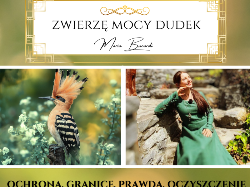 Zwierzę Mocy Dudek – „Chroń swoje granice. Nie każdy, kto pojawia się na Twojej drodze, przynosi&nbsp;światło.”