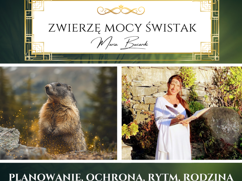 Zwierzę Mocy Świstak – „Zadbaj o swoje jutro, bo spokój i bezpieczeństwo rodzą się z mądrego przygotowania.”