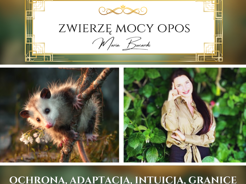 Zwierzę Mocy Opos – „Zanim powiesz coś w emocjach, zapytaj siebie: Czy to buduje, czy&nbsp;niszczy?”