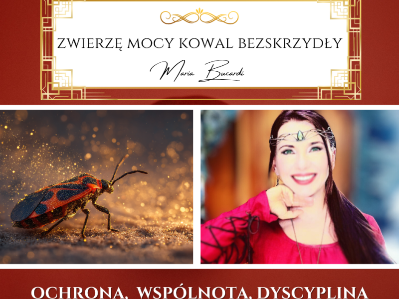 Zwierze Mocy Kowal Bezskrzydły – „Prawdziwa siła to konsekwencja – nie potrzeba skrzydeł, by dotrzeć do&nbsp;celu.”