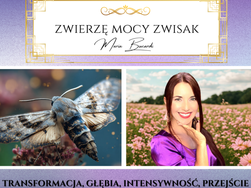 Zwierzę Mocy Zwisak – „Sięgaj głębiej niż inni, to tam ukryty jest prawdziwy nektar&nbsp;duszy.”