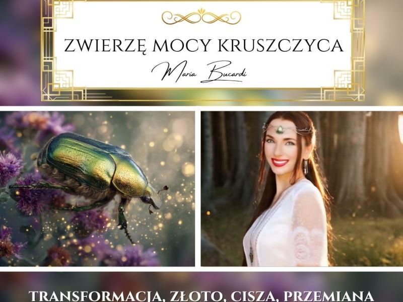 Kruszczyca złotawka – zwierzę mocy według Marii Bucardi. „Wartość rodzi się tam, gdzie inni widzą&nbsp;koniec.”