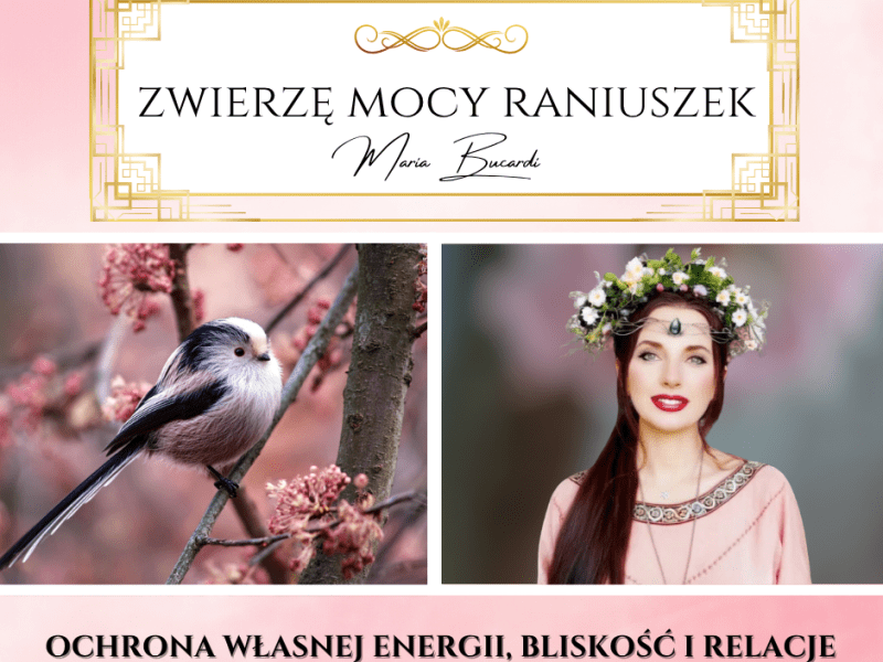 Raniuszek – zwierzę mocy według Marii Bucardi. „Największa siła potrafi być cicha, delikatna i wierna&nbsp;sobie.”