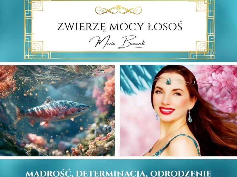 Łosoś – zwierzę mocy według Marii Bucardi. „Nie każda walka jest warta twojej&nbsp;siły.”